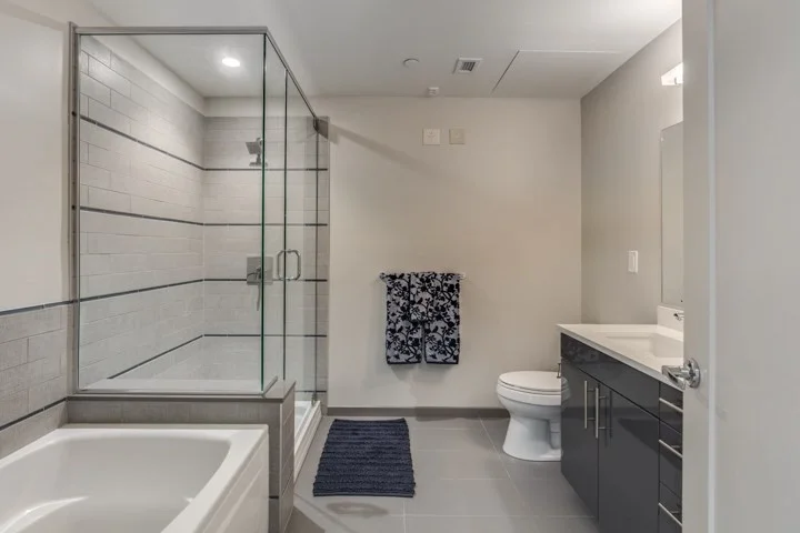 2 bed, 2 bath apartment for rent at 1 Canal St Unit 1204, West End — photo 6 of 12