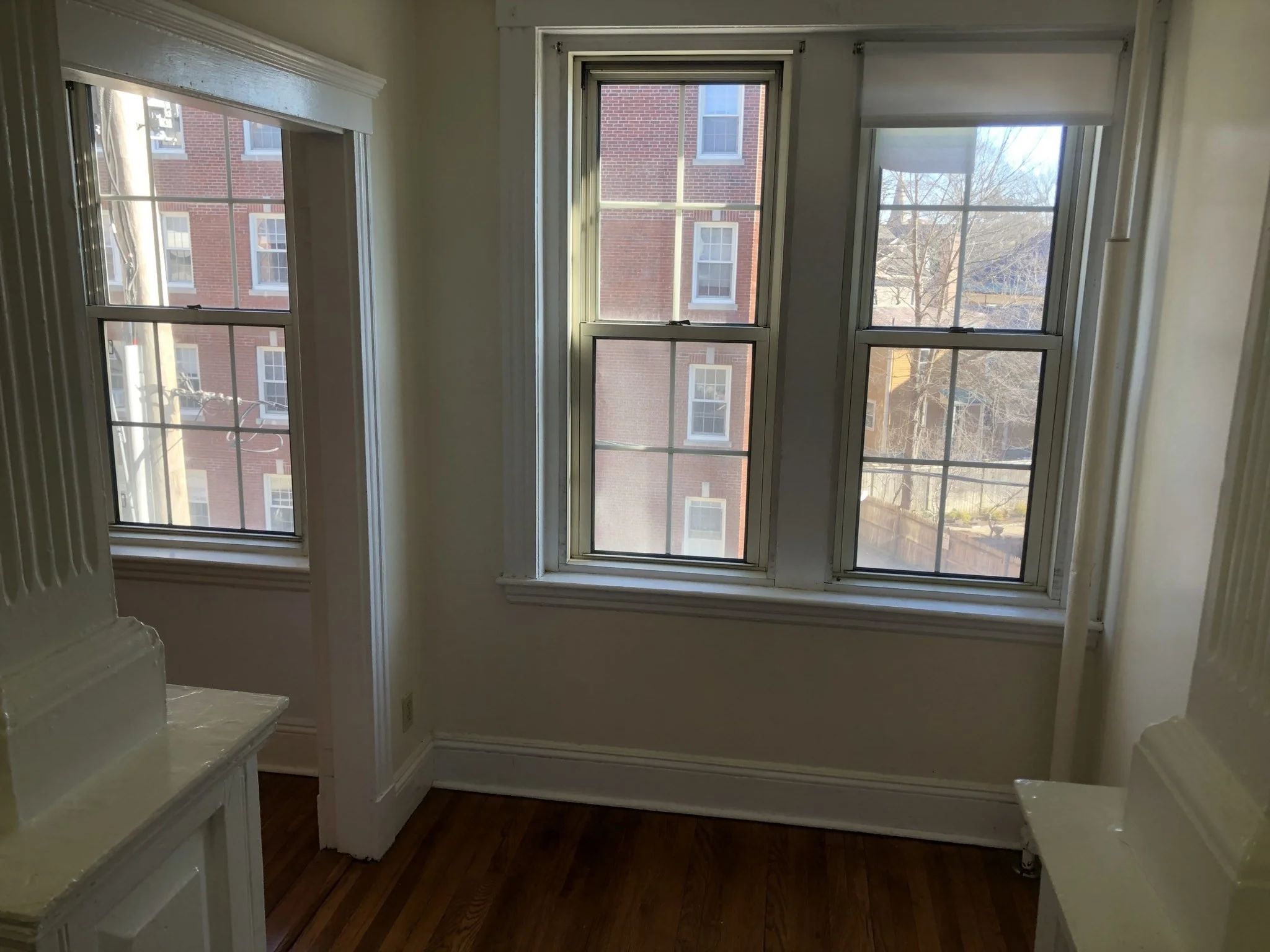 Studio bed, 1 bath apartment for rent at 1 Craigie Unit 38, West Cambridge — photo 14 of 24