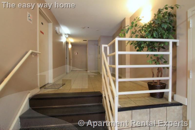 2 bed, 1 bath apartment for rent at 1 Franklin St Unit 301, Sullivan Square — photo 2 of 16
