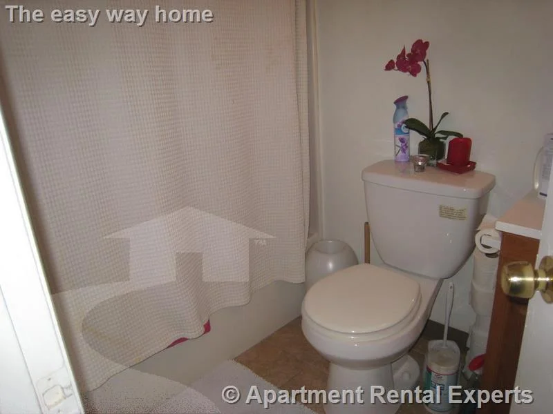 1 bed, 1 bath apartment for rent at 1 Franklin St Unit 305, Sullivan Square — photo 3 of 5
