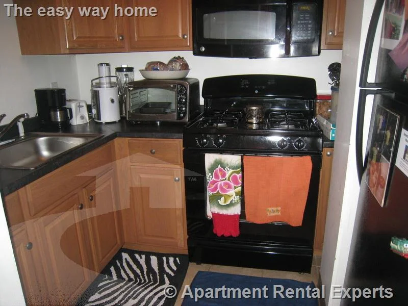 1 bed, 1 bath apartment for rent at 1 Franklin St Unit 305, Sullivan Square — photo 2 of 5