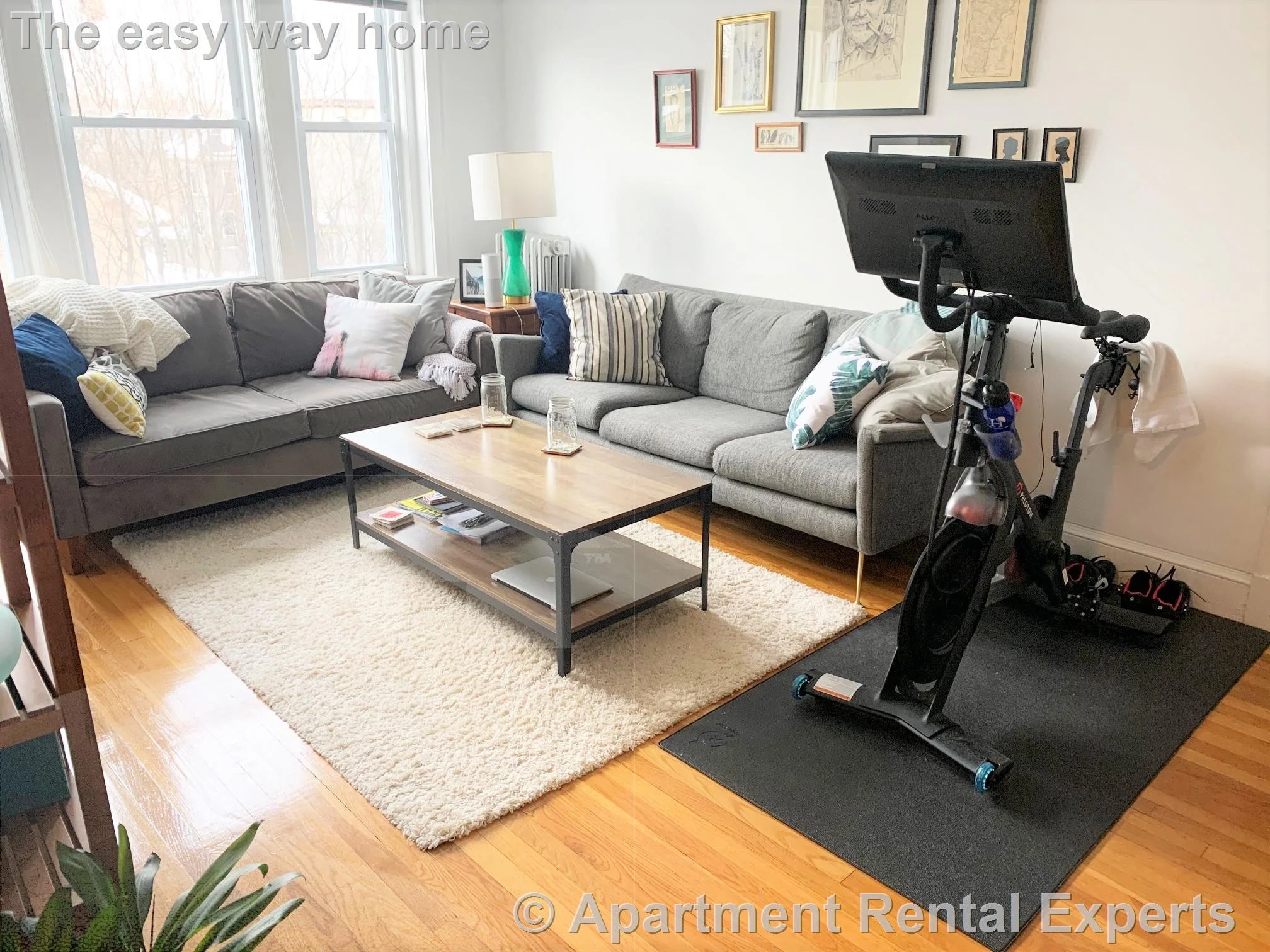 1 bed, 1 bath apartment for rent at 1 Gray St Unit 9, Porter Square