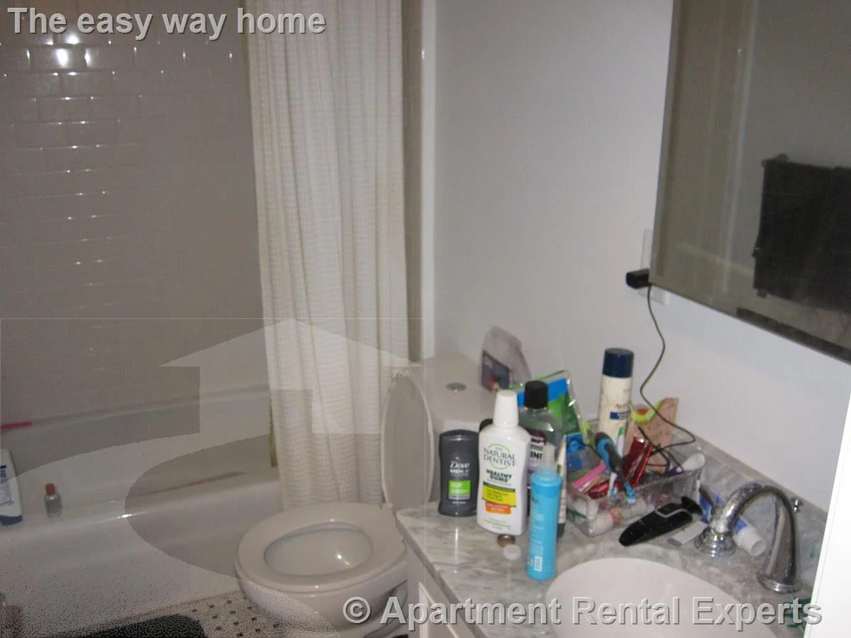 2 bed, 1 bath apartment for rent at 1 Langdon Sq Unit 2, Harvard Square — photo 3 of 5