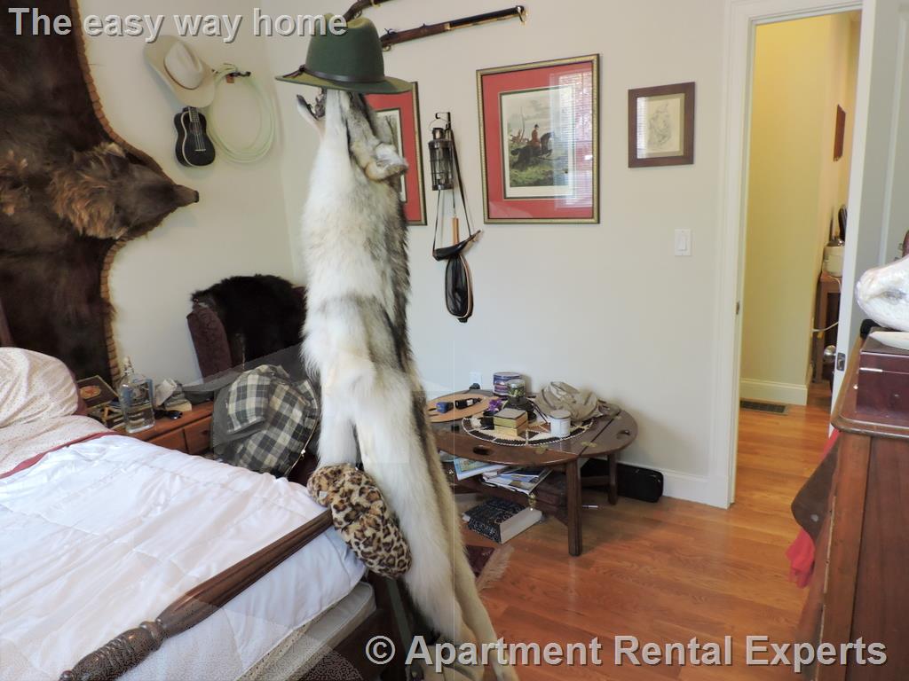 3 bed, 2 bath apartment for rent at 1 Marney St Unit 1, Kendall Square — photo 9 of 18