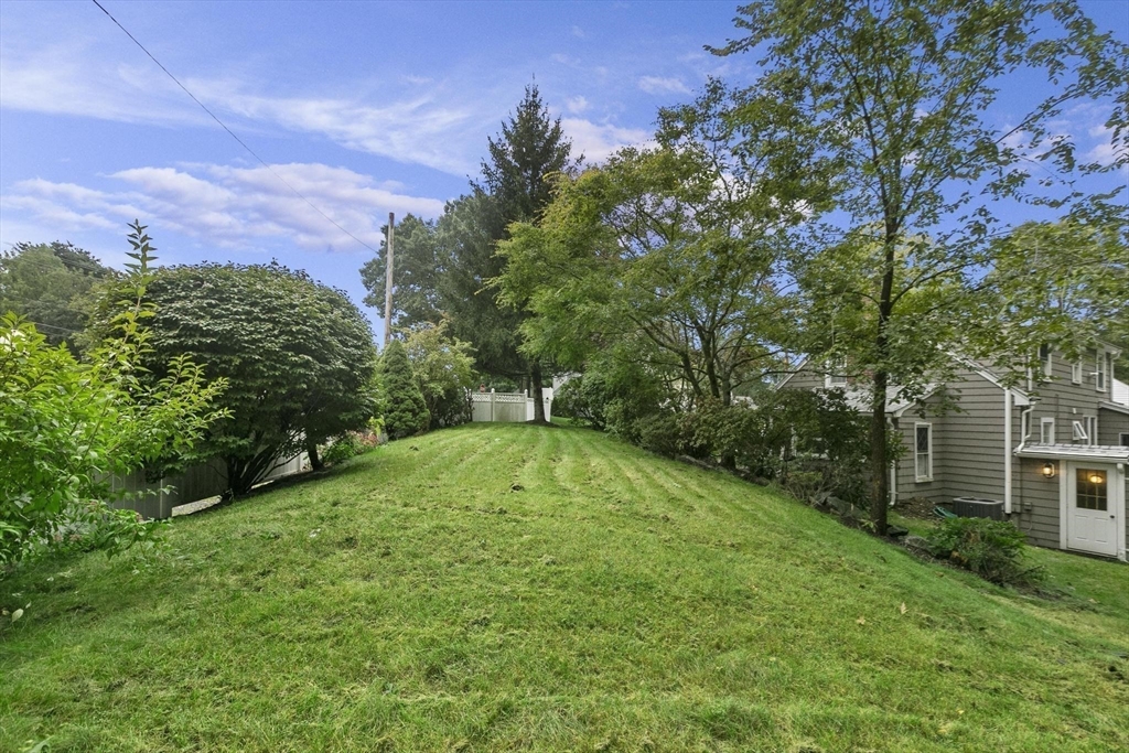 3 bed, 2 bath apartment for rent at 1 Martin Rd, Wellesley — photo 31 of 35
