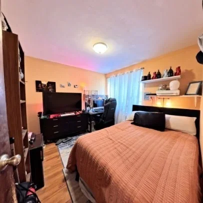 3 bed, 1 bath apartment for rent at 1 O'leary Way Unit 92, Jamaica Plain — photo 6 of 9