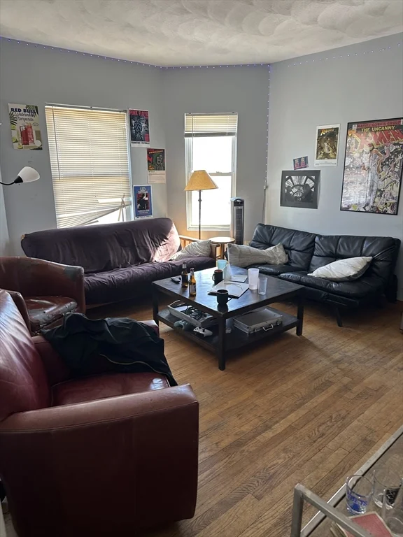 4 bed, 1 bath apartment for rent at 1 Ossipee Rd Unit 2, Tufts University — photo 5 of 15