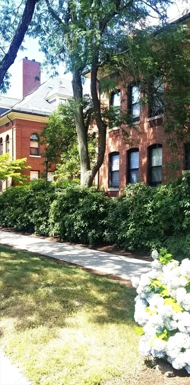 1 bed, 1 bath apartment for rent at 1 School St Unit 301, Arlington — photo 2 of 17