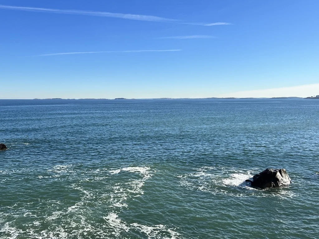 1 bed, 1 bath apartment for rent at 1 Seal Harbor Rd Unit 101, Winthrop Highlands