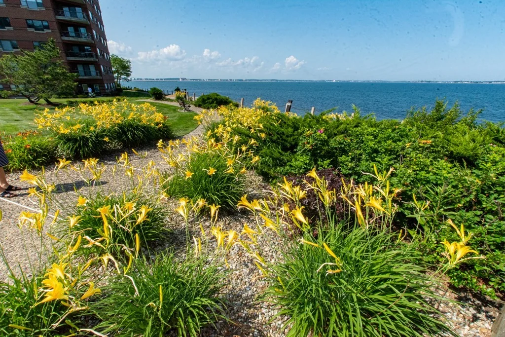 2 bed, 2 bath apartment for rent at 1 Seal Seal Harbor Rd Unit 314, Winthrop — photo 21 of 22