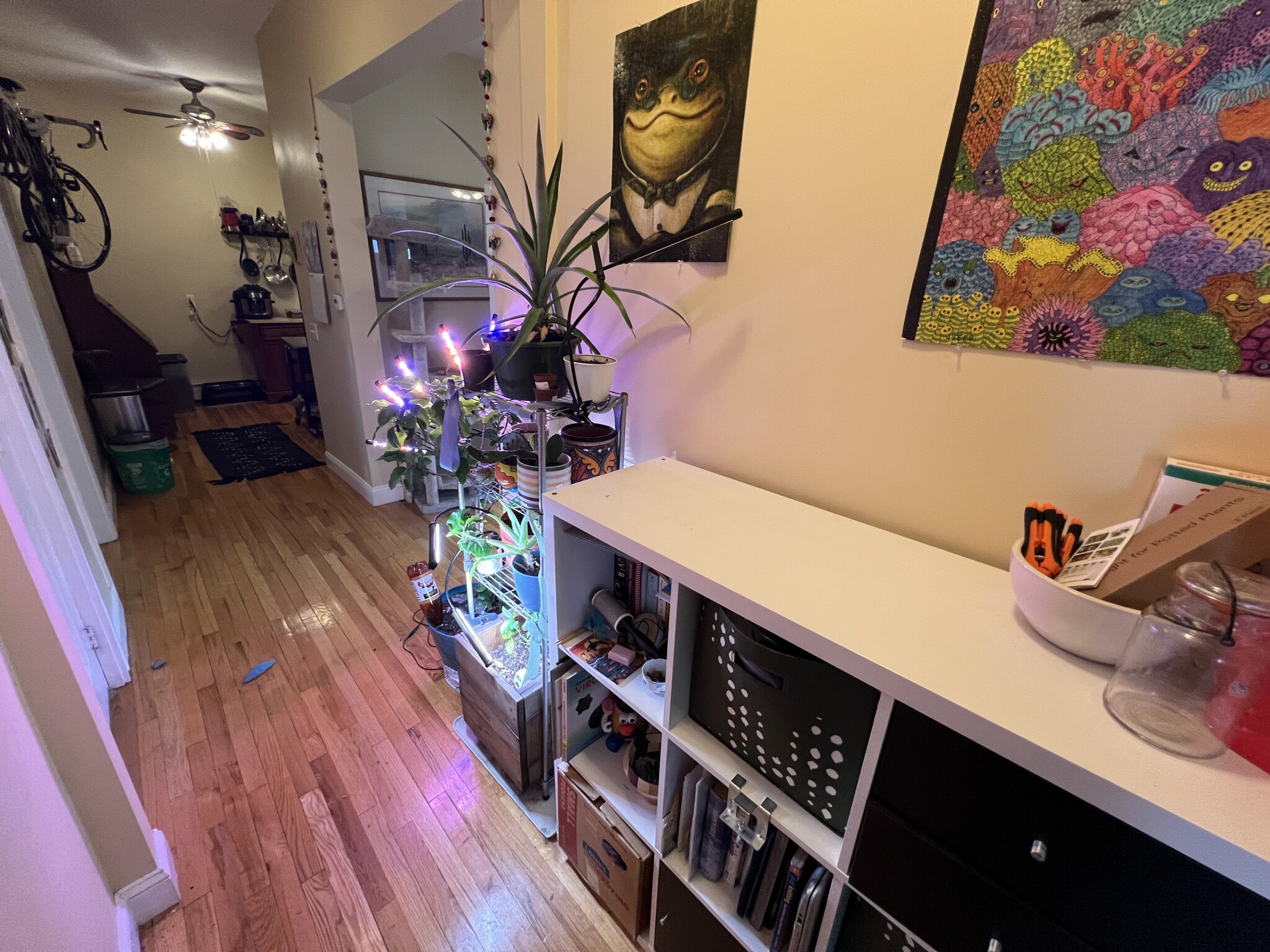 2 bed, 1 bath apartment for rent at 1 Victoria St Unit 1A, West Somerville — photo 10 of 29