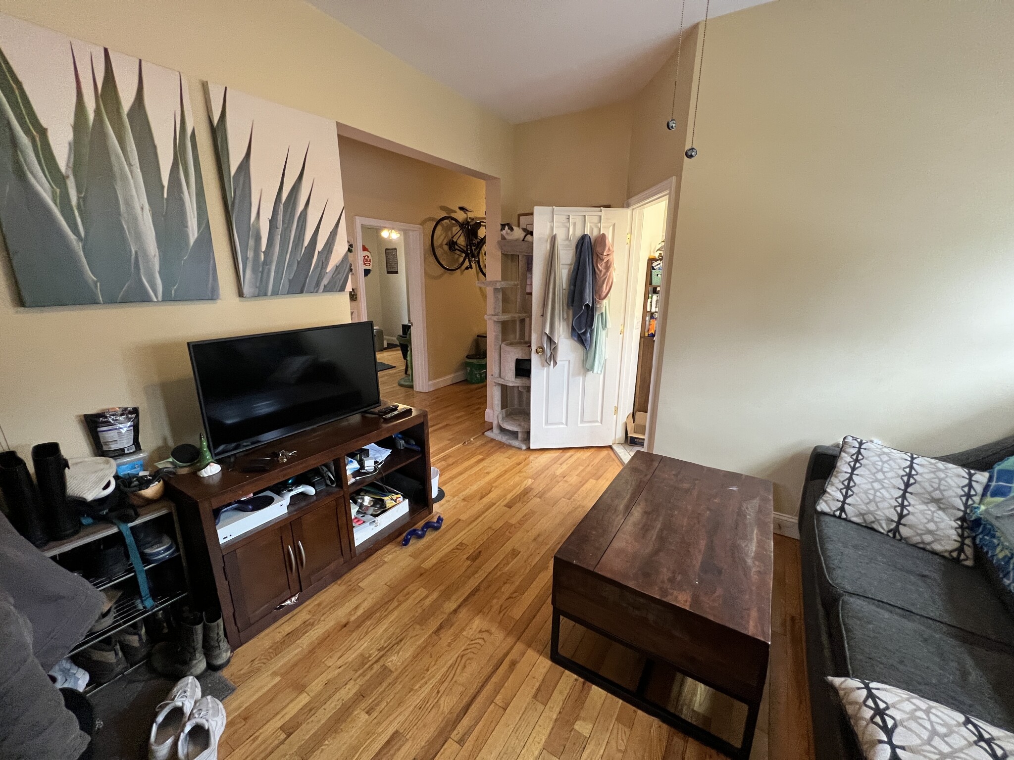 2 bed, 1 bath apartment for rent at 1 Victoria St Unit 1A, West Somerville — photo 1 of 29