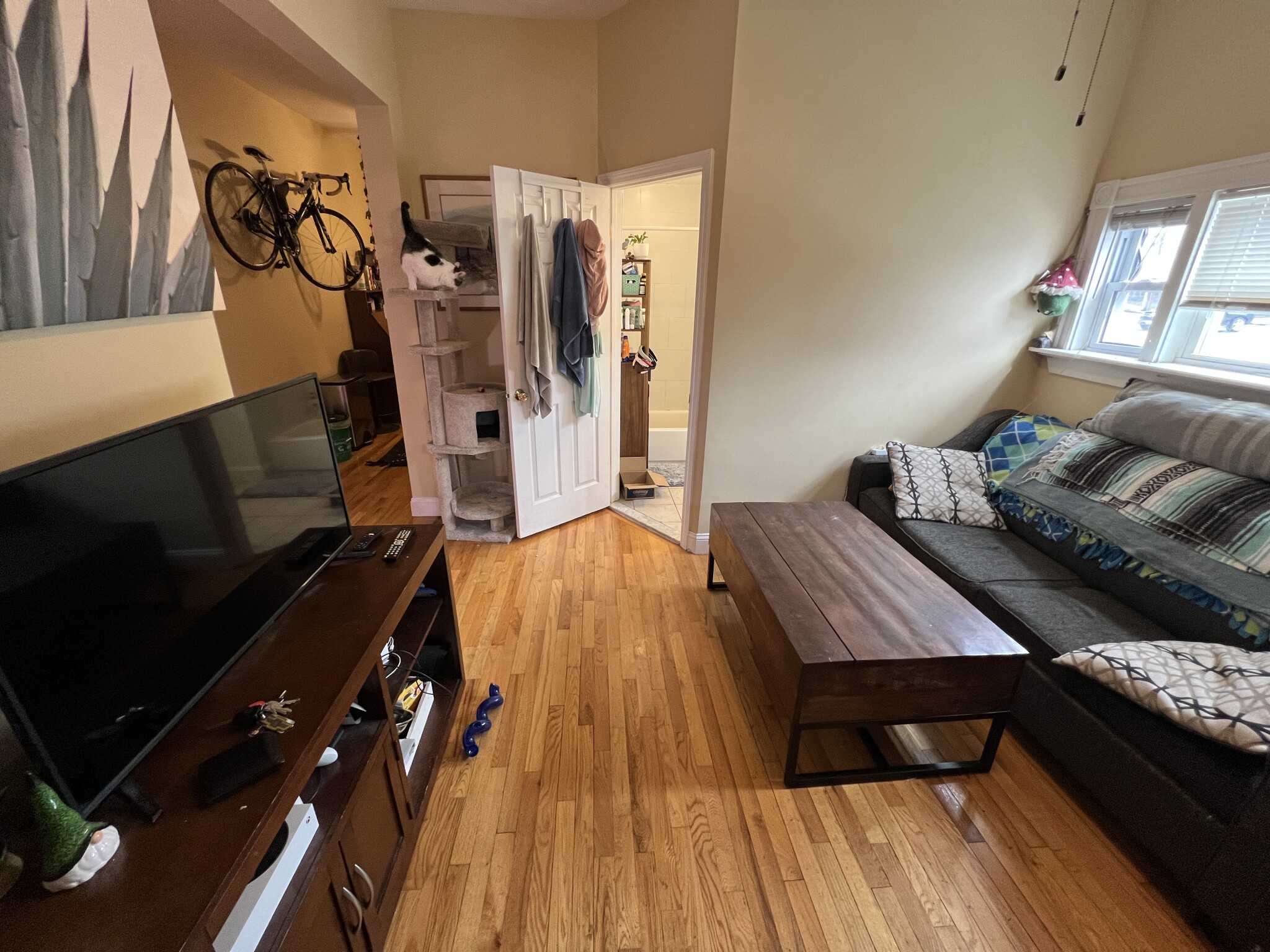 2 bed, 1 bath apartment for rent at 1 Victoria St Unit 1A, West Somerville — photo 3 of 29