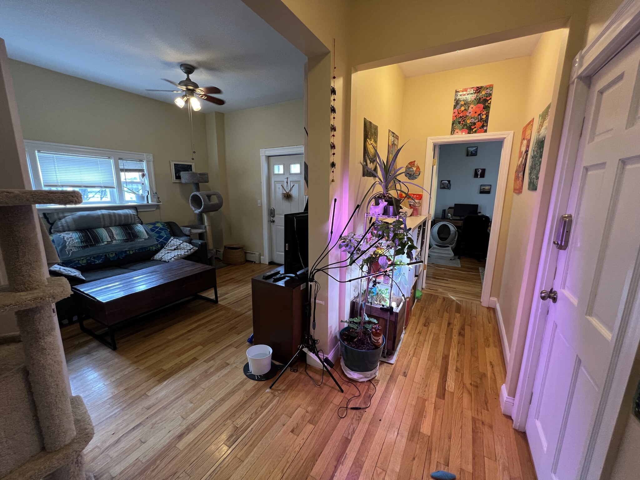 2 bed, 1 bath apartment for rent at 1 Victoria St Unit 1A, West Somerville — photo 28 of 29