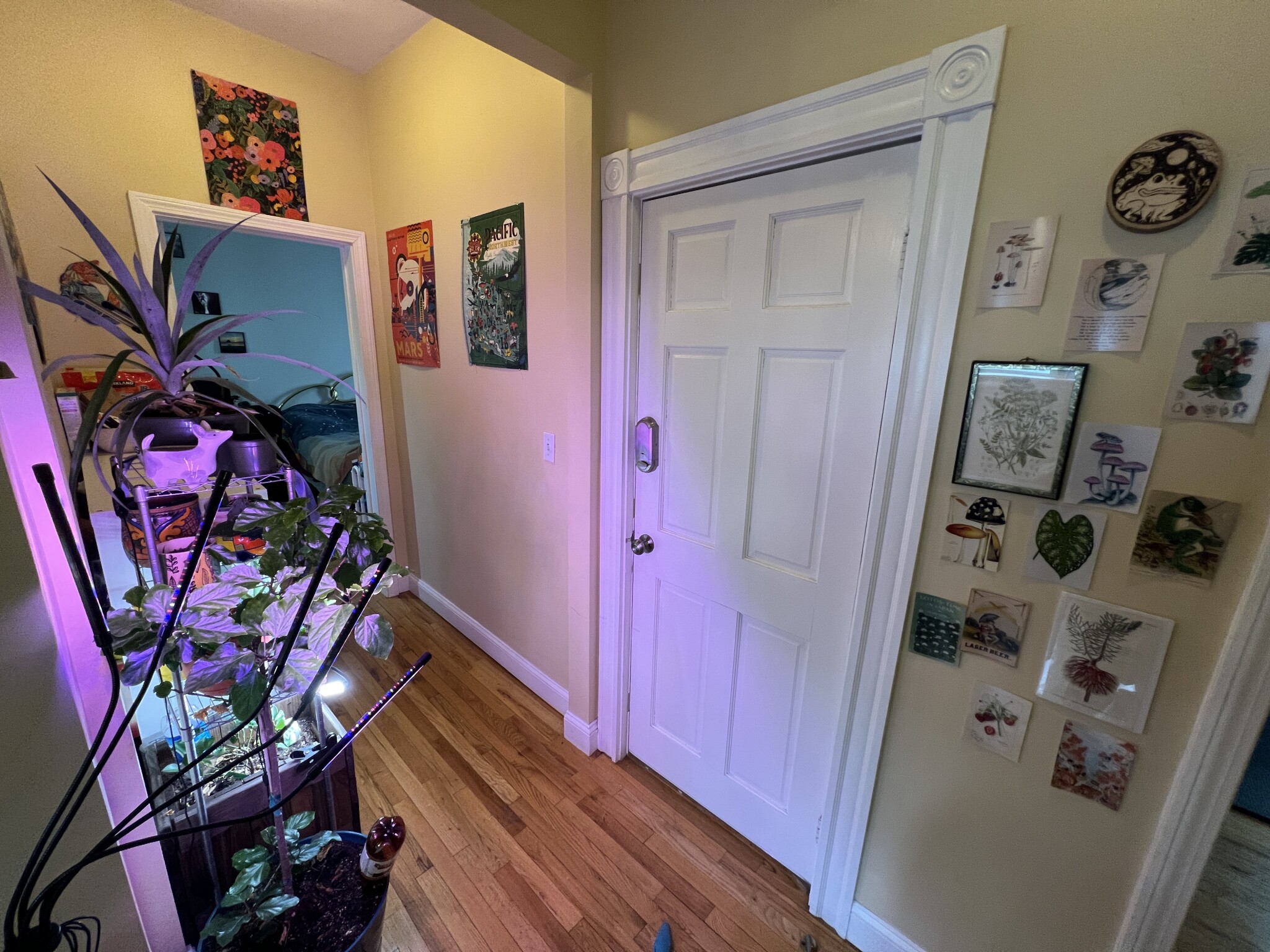 2 bed, 1 bath apartment for rent at 1 Victoria St Unit 1L, West Somerville — photo 9 of 28