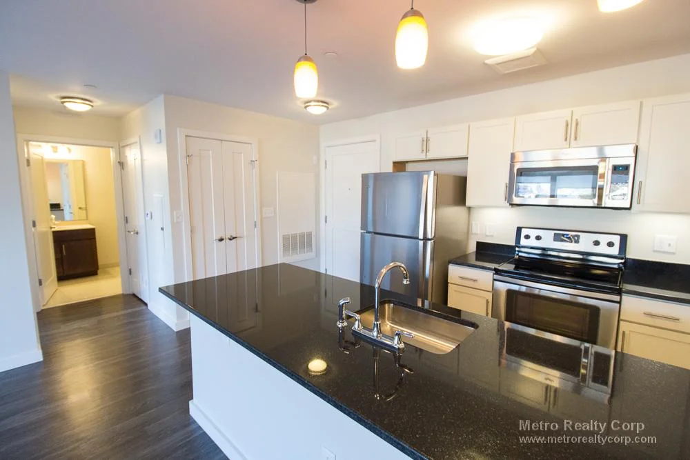 1 bed, 1 bath apartment for rent at 1 Whittemore Ave Unit 203, North Cambridge — photo 8 of 21