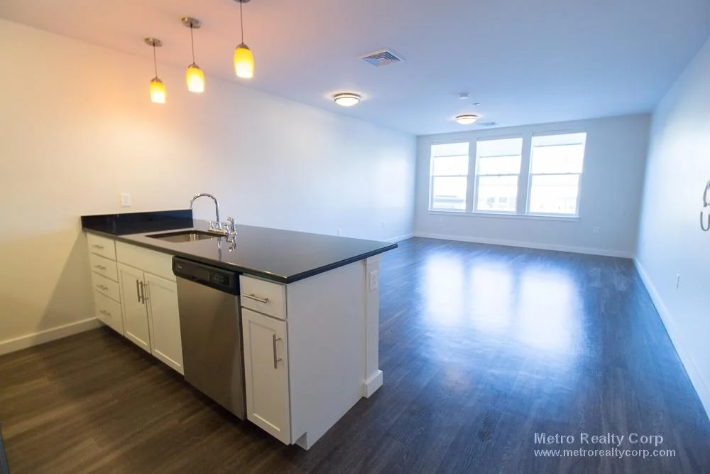 1 bed, 1 bath apartment for rent at 1 Whittemore Ave Unit 203, North Cambridge