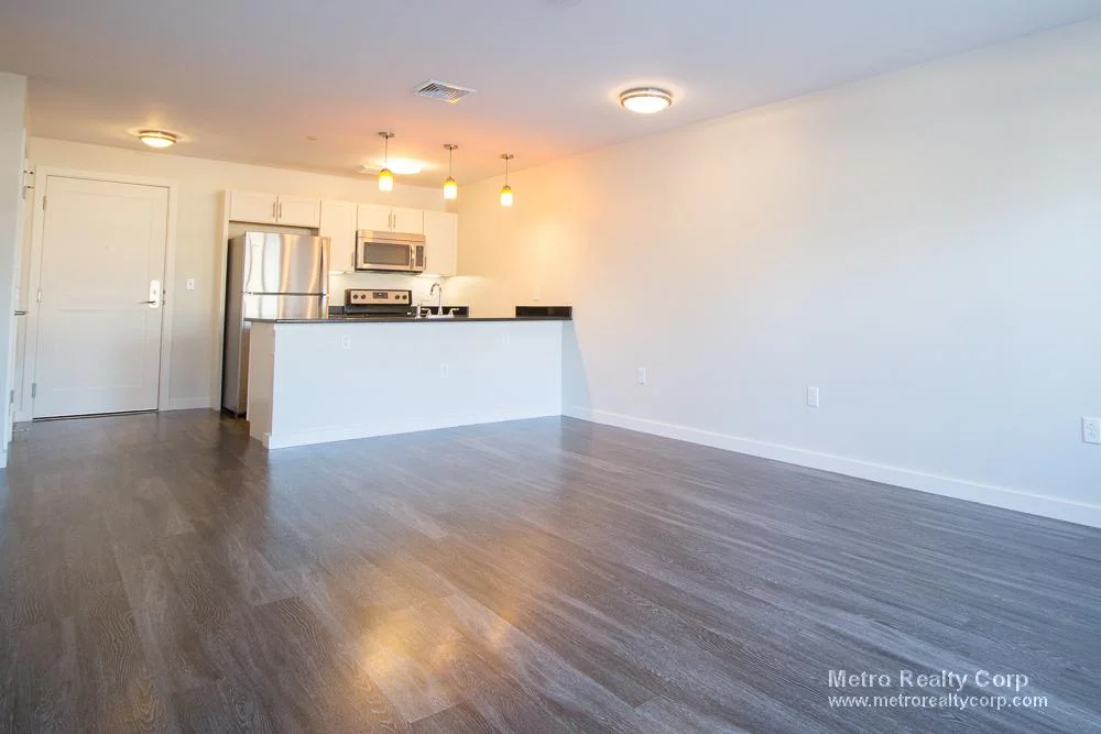 1 bed, 1 bath apartment for rent at 1 Whittemore Ave Unit 203, North Cambridge — photo 4 of 21