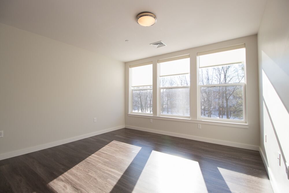 2 bed, 2 bath apartment for rent at 1 Whittemore Ave Unit 209, North Cambridge — photo 3 of 24