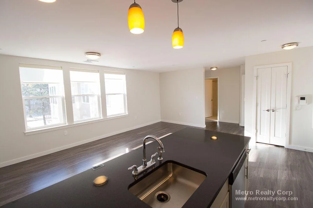 1 bed, 1 bath apartment for rent at 1 Whittemore Ave Unit 213, North Cambridge — photo 3 of 23