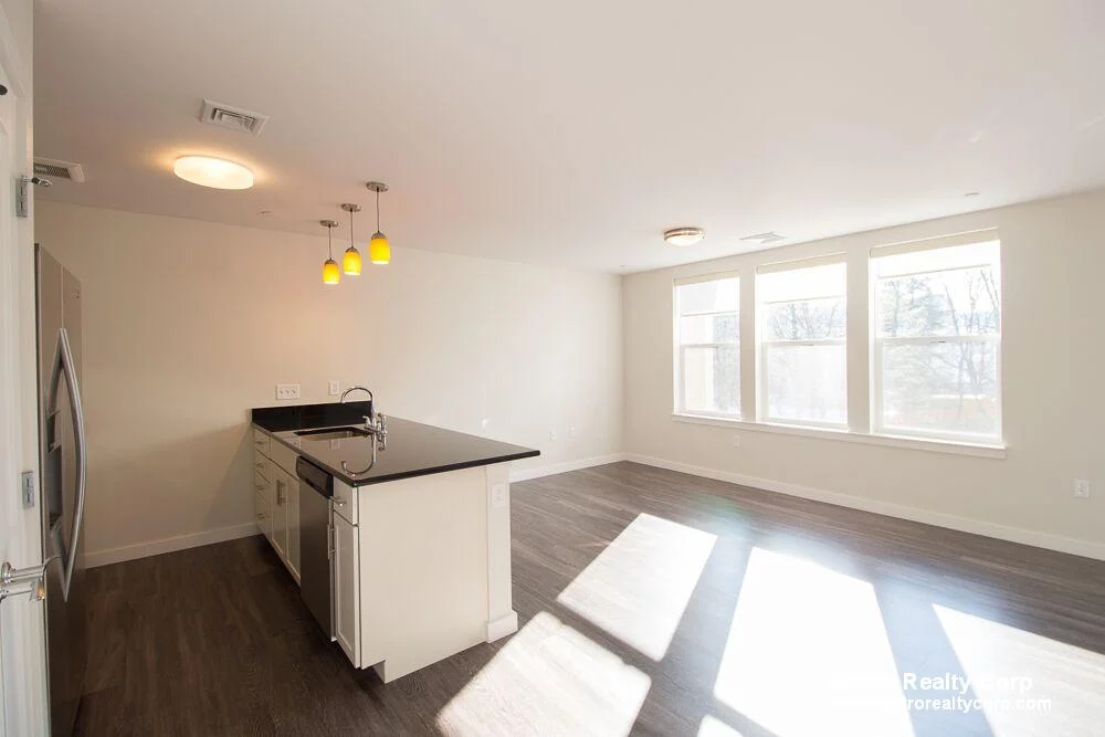 1 bed, 1 bath apartment for rent at 1 Whittemore Ave Unit 213, North Cambridge — photo 6 of 23