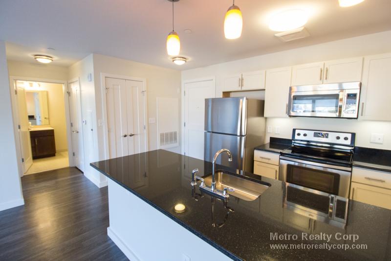 1 bed, 1 bath apartment for rent at 1 Whittemore Ave Unit 214, North Cambridge — photo 5 of 21