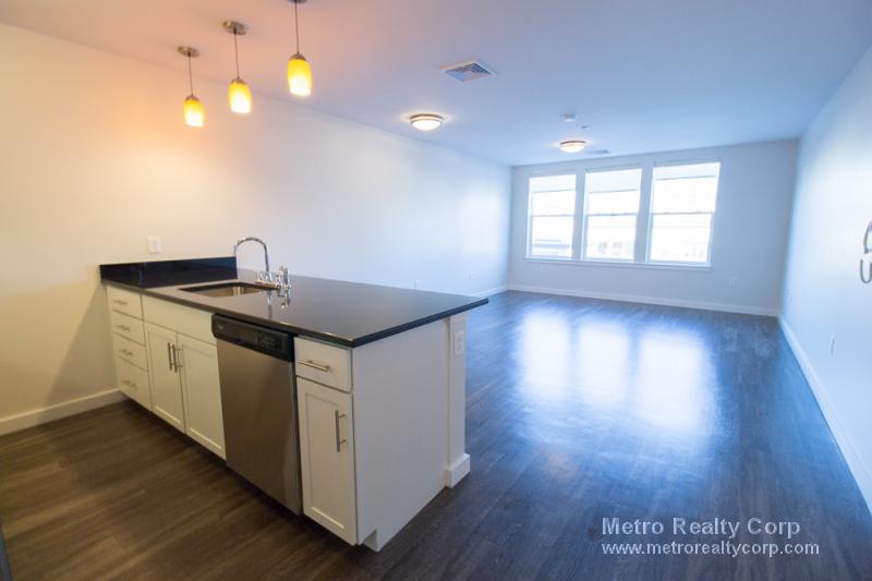 1 bed, 1 bath apartment for rent at 1 Whittemore Ave Unit 214, North Cambridge — photo 2 of 21