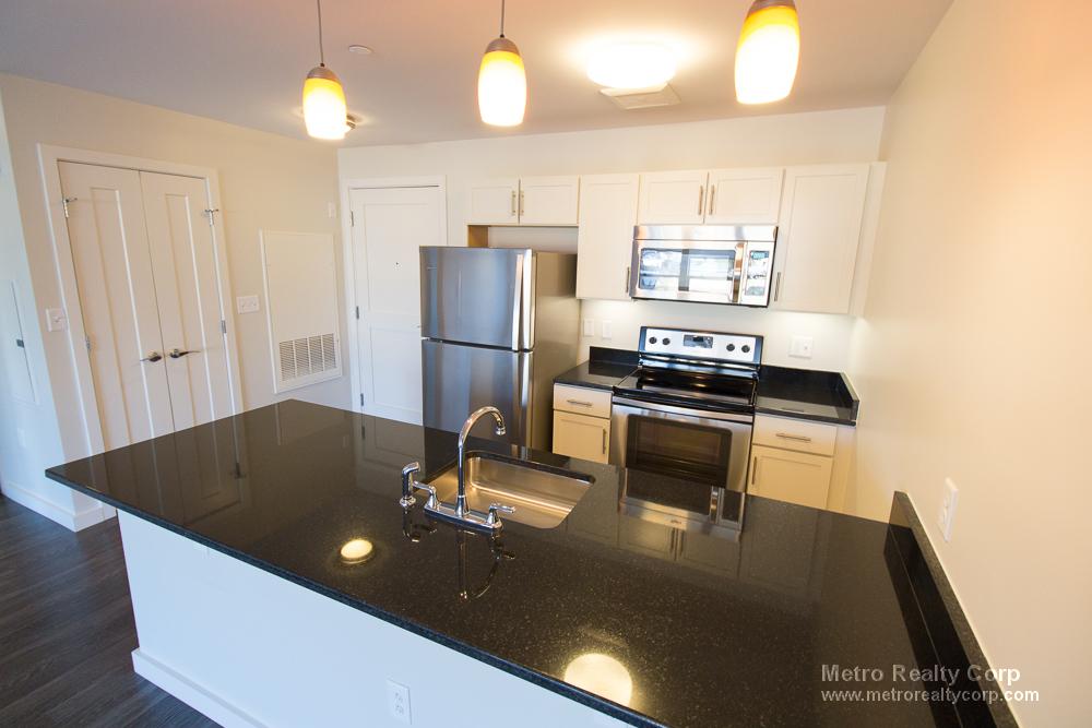 1 bed, 1 bath apartment for rent at 1 Whittemore Ave Unit 216, North Cambridge — photo 3 of 21