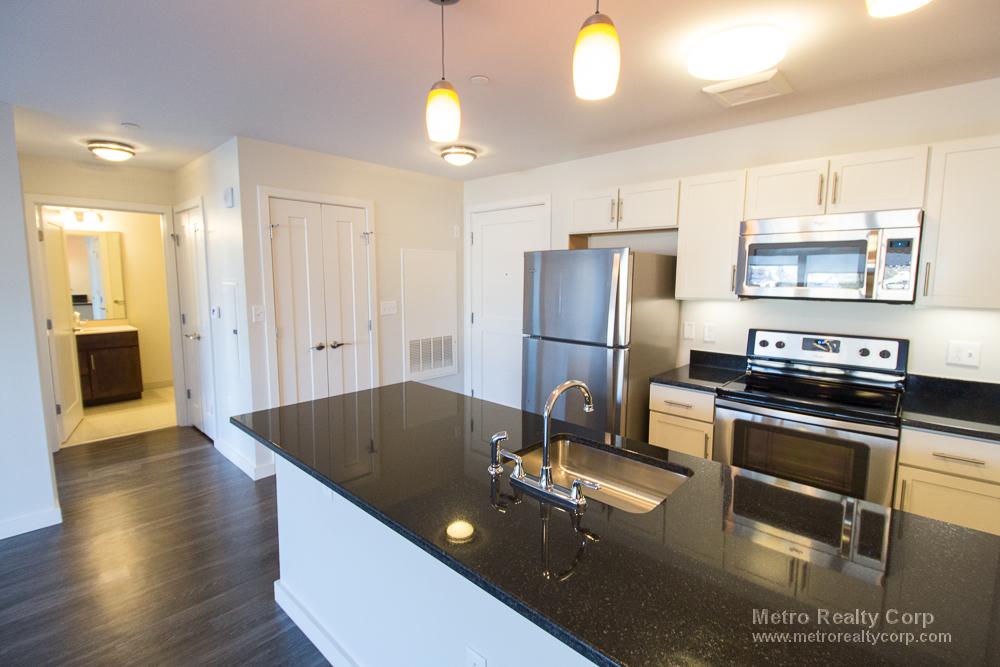 1 bed, 1 bath apartment for rent at 1 Whittemore Ave Unit 216, North Cambridge — photo 7 of 21
