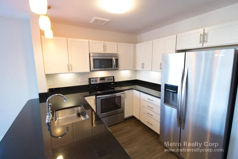 2 bed, 2 bath apartment for rent at 1 Whittemore Ave Unit 308, North Cambridge — photo 2 of 23