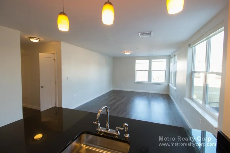 2 bed, 2 bath apartment for rent at 1 Whittemore Ave Unit 308, North Cambridge — photo 3 of 23
