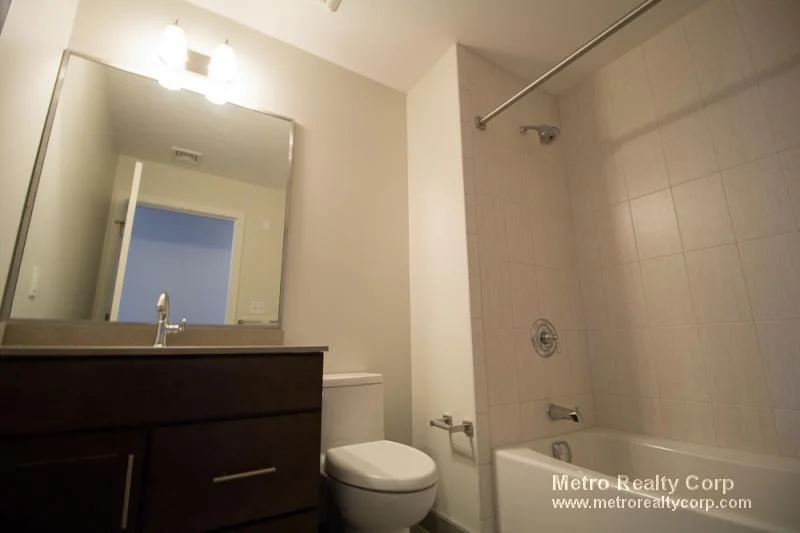 2 bed, 2 bath apartment for rent at 1 Whittemore Ave Unit 308, North Cambridge — photo 10 of 23
