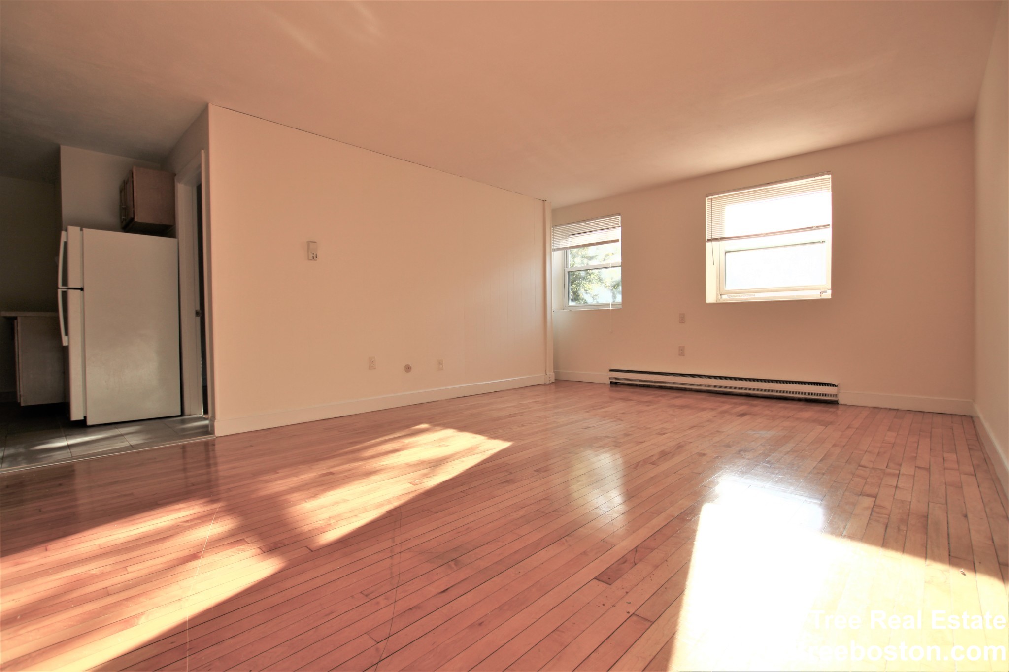 1 bed, 1 bath apartment for rent at 10 Armington St Unit 4, Allston — photo 2 of 12