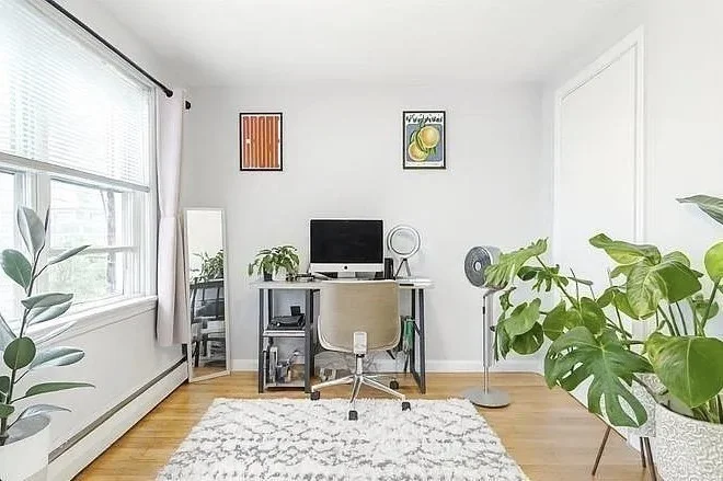 2 bed, 1 bath apartment for rent at 10 Avon St Unit 17, Spring Hill — photo 11 of 16