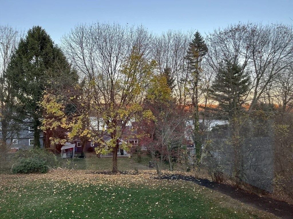 2 bed, 1 bath apartment for rent at 10 Beverly Rd, Arlington — photo 23 of 25