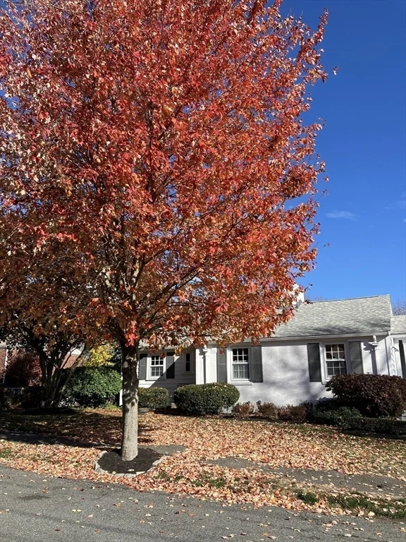 2 bed, 1 bath apartment for rent at 10 Beverly Rd, Arlington