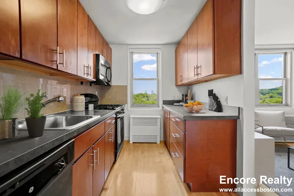 1 bed, 1 bath apartment for rent at 10 Camelot Ct Unit 3E, Brighton — photo 15 of 26