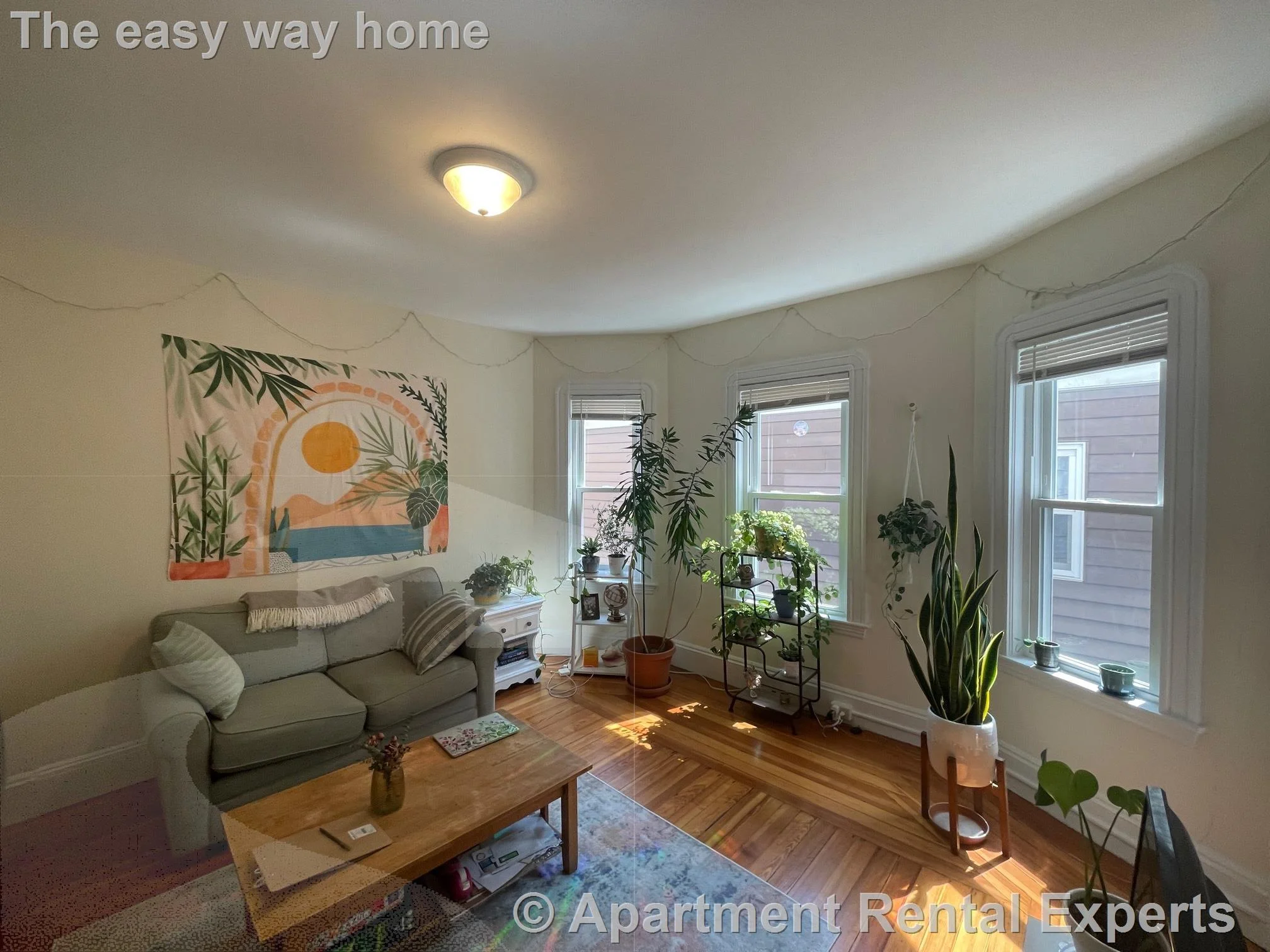 3 bed, 1 bath apartment for rent at 10 Chandler St Unit 2, Davis Square — photo 13 of 16