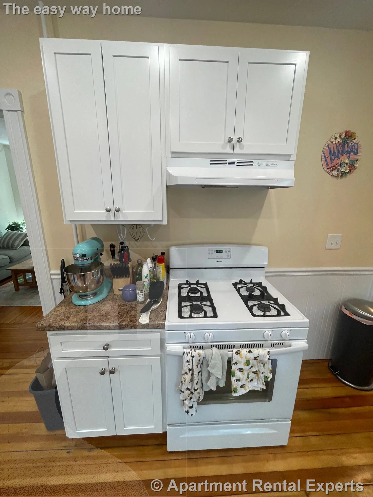 3 bed, 1 bath apartment for rent at 10 Chandler St Unit 2, Davis Square — photo 3 of 16