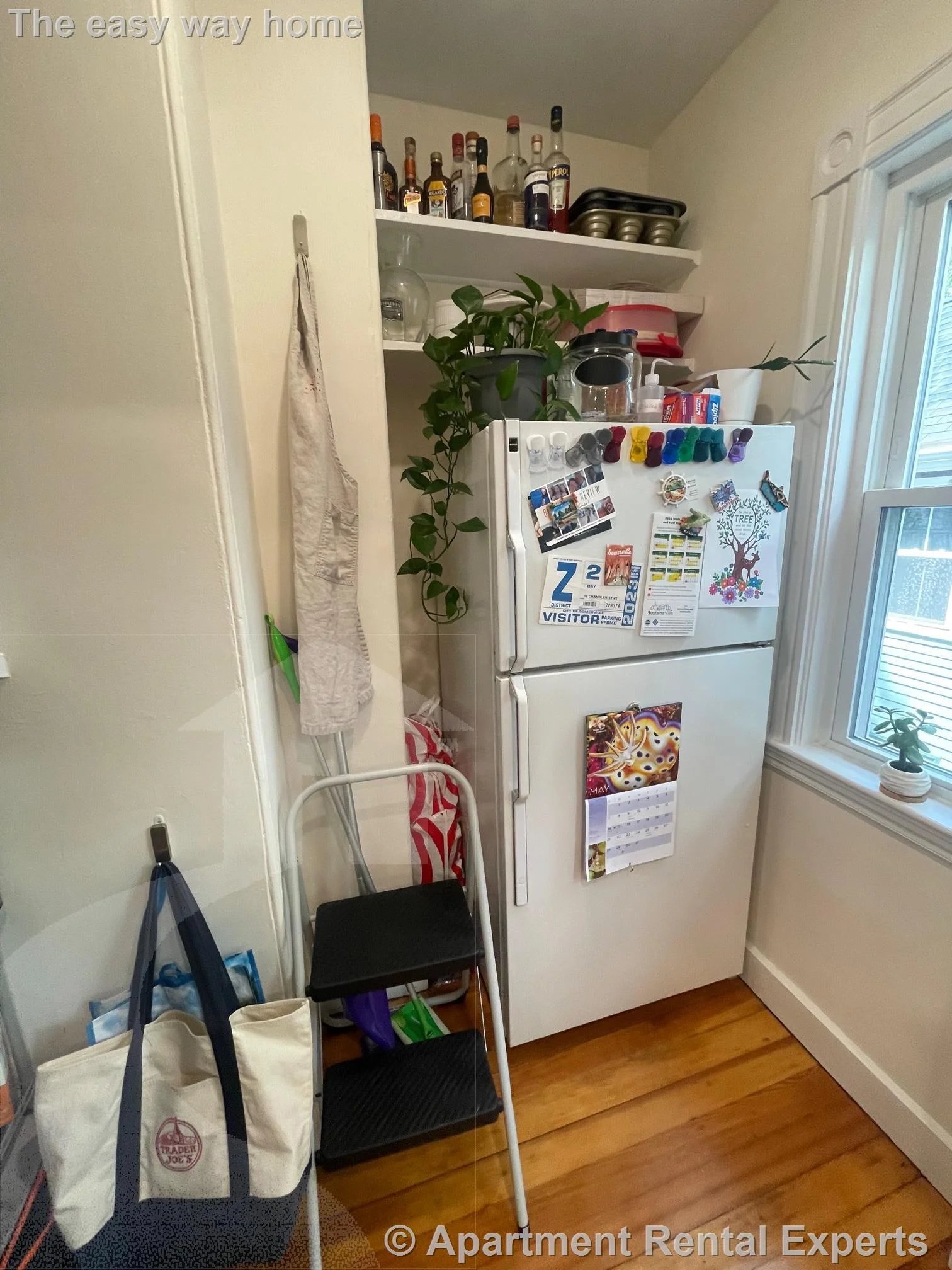 3 bed, 1 bath apartment for rent at 10 Chandler St Unit 2, Davis Square — photo 2 of 16