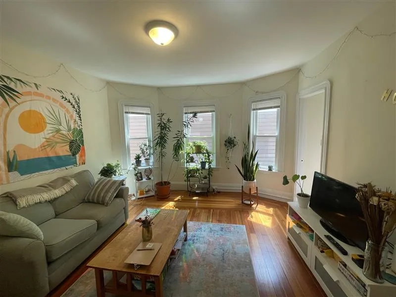 3 bed, 1 bath apartment for rent at 10 Chandler St Unit 2a, Tufts — photo 1 of 16