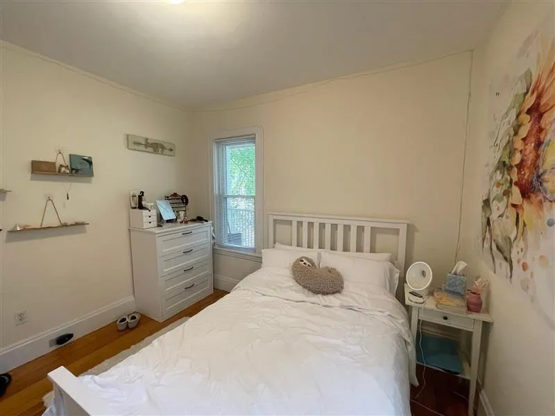 3 bed, 1 bath apartment for rent at 10 Chandler St Unit 2a, Tufts — photo 11 of 16