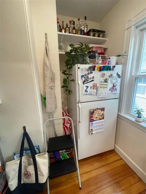 3 bed, 1 bath apartment for rent at 10 Chandler St Unit 2a, Tufts — photo 5 of 16