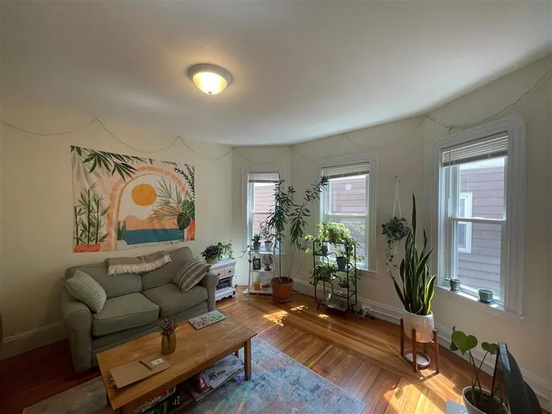 3 bed, 1 bath apartment for rent at 10 Chandler St Unit 2a, Tufts — photo 2 of 16