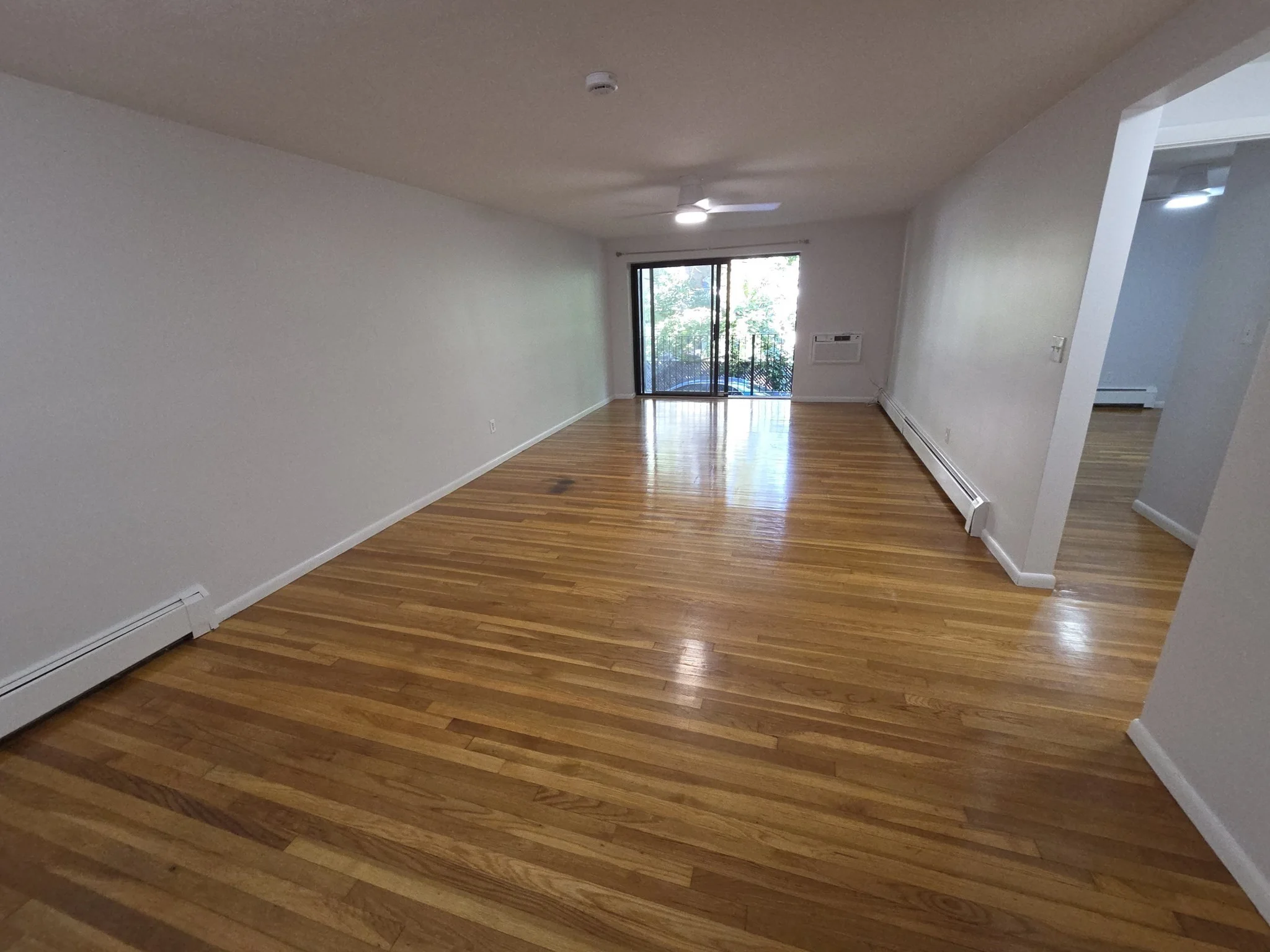 1 bed, 1 bath apartment for rent at 10 Coffey St Unit 11, Dorchester — photo 3 of 18