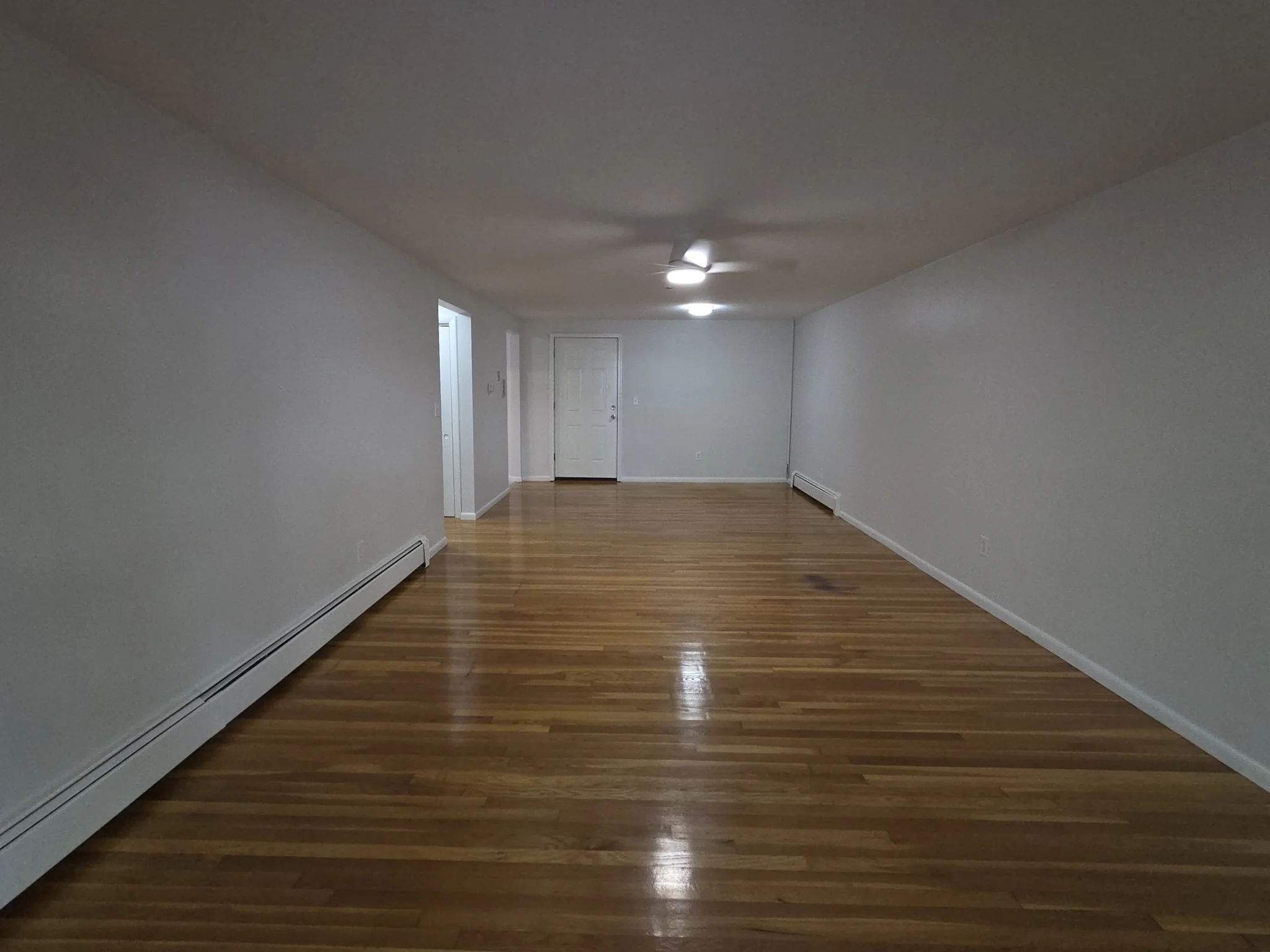 1 bed, 1 bath apartment for rent at 10 Coffey St Unit 11, Dorchester — photo 5 of 18