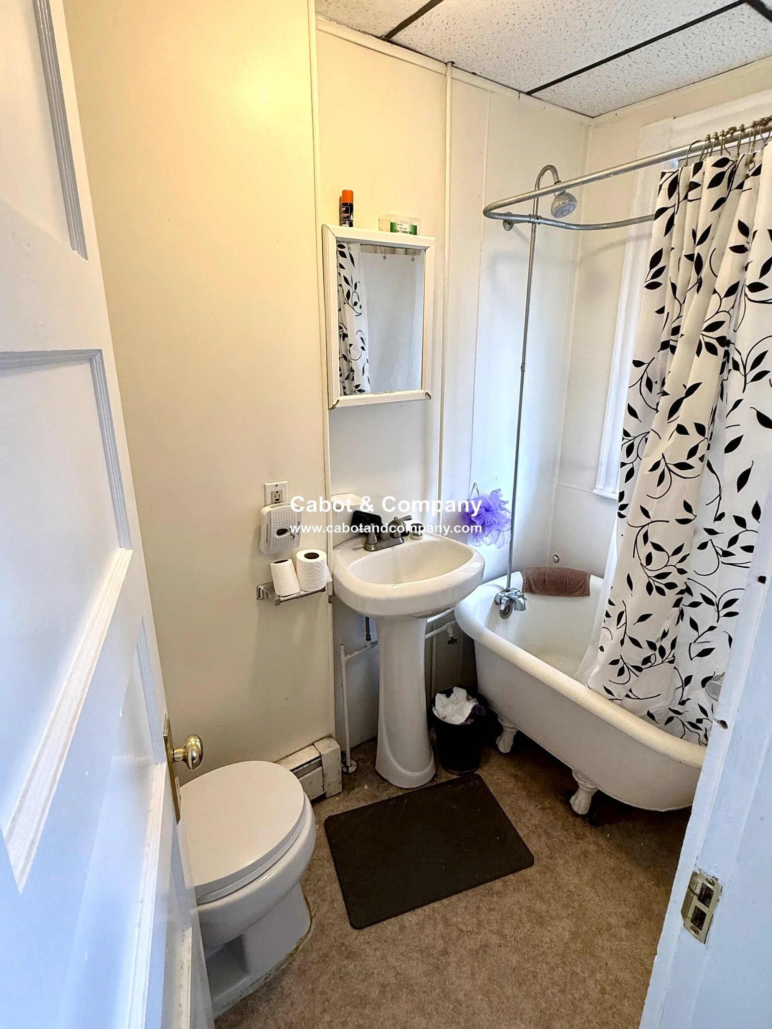 2 bed, 1 bath apartment for rent at 10 Craigie St Unit 2, Spring Hill — photo 13 of 13
