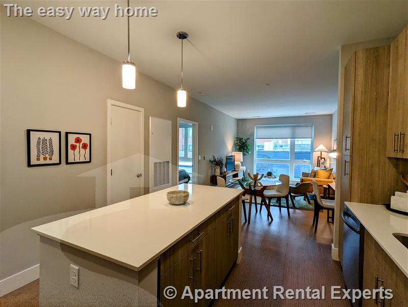 1 bed, 1 bath apartment for rent at 10 Inner Belt Rd Unit 410, Union Square — photo 3 of 8