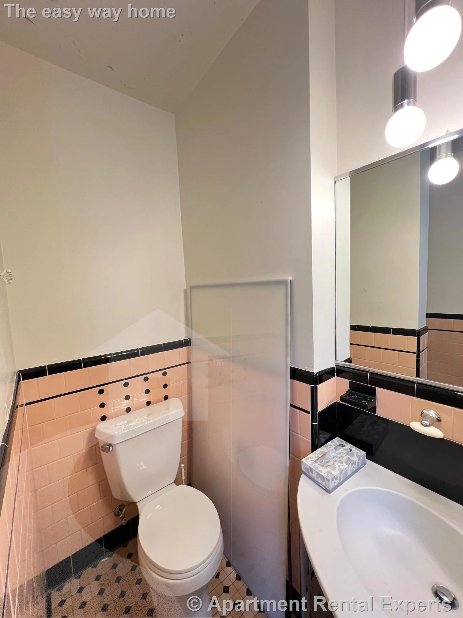 5 bed, 2 bath apartment for rent at 10 Packard Ave Unit 2, Tufts — photo 9 of 28