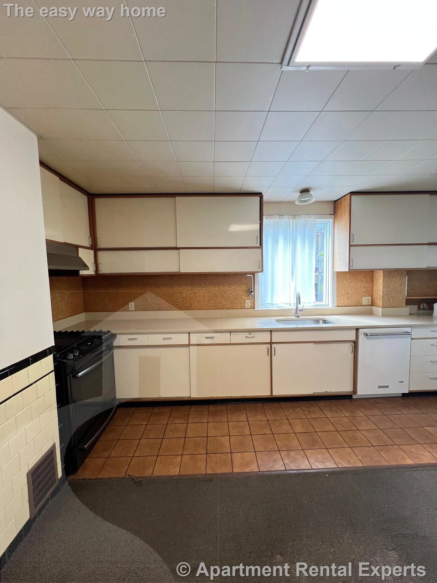 5 bed, 2 bath apartment for rent at 10 Packard Ave Unit 2, Tufts — photo 4 of 28